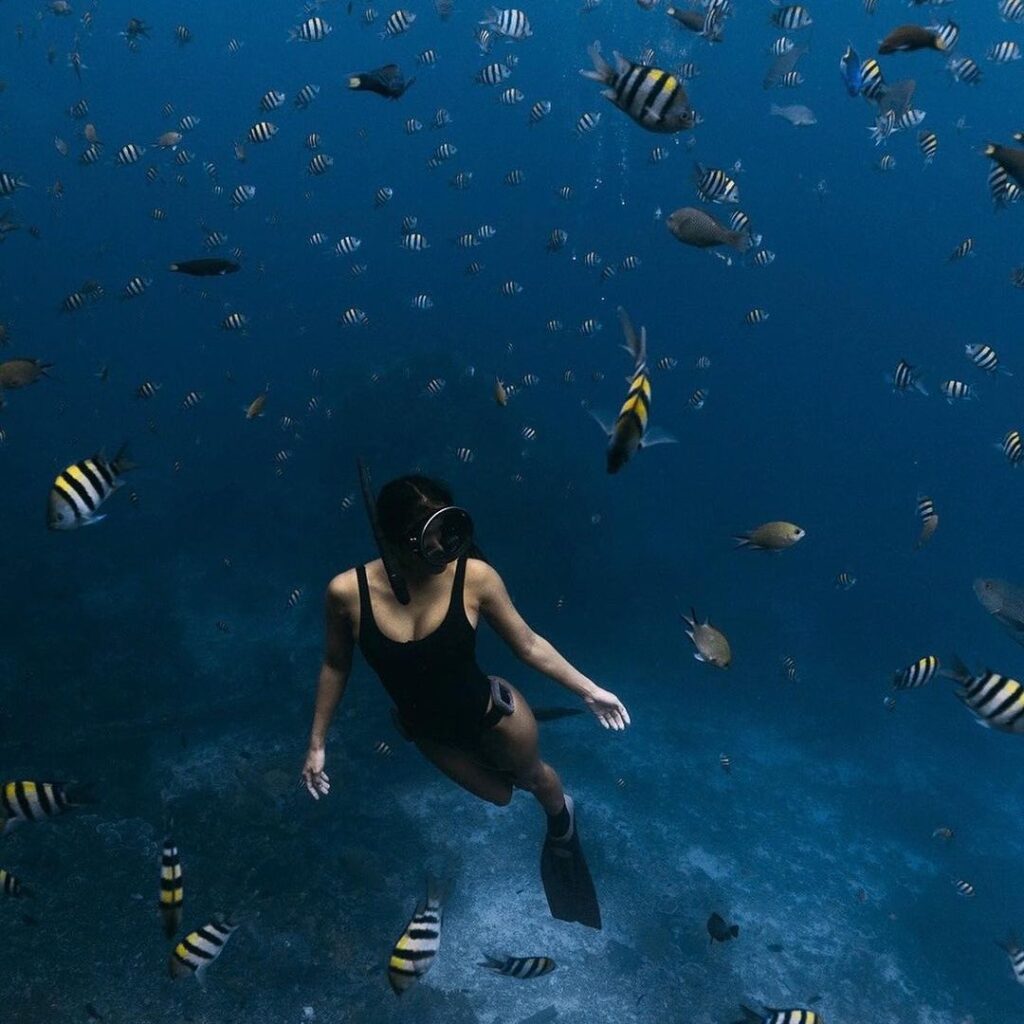 snorkeling around vibrant coral reefs at komodo island tour